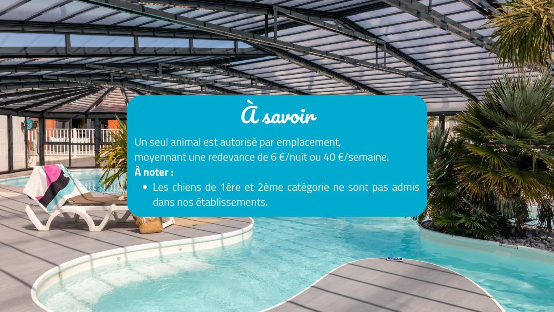 Camping Park Er Lann Saint-Pierre-Quiberon Buitenkant foto